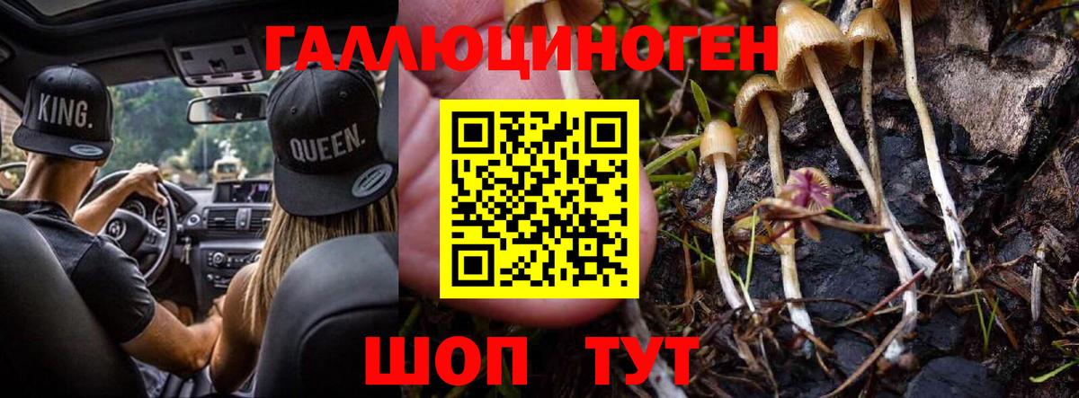 Лянтор  Галлюциногенные грибы мухоморы  Вход с VPN 