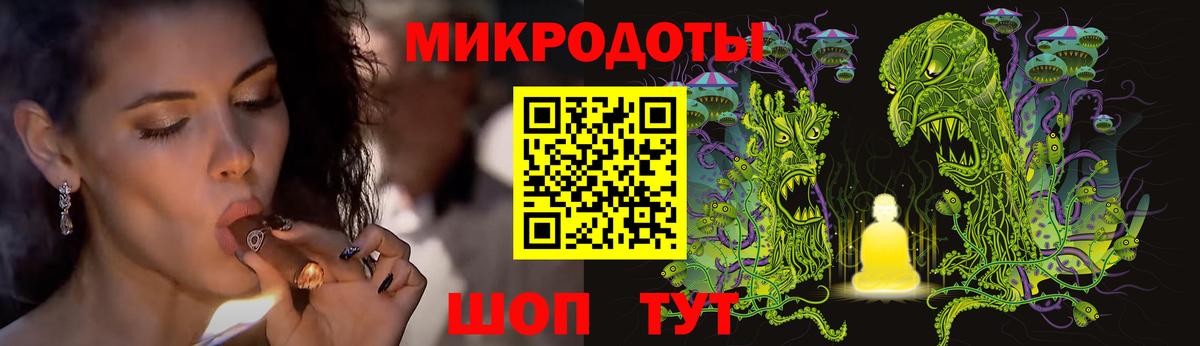 Псилоцибиновые грибы Psilocybe Лянтор
